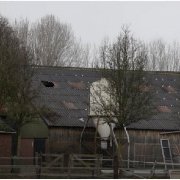 Persoon gewond na val door dak in Vierlingsbeek
